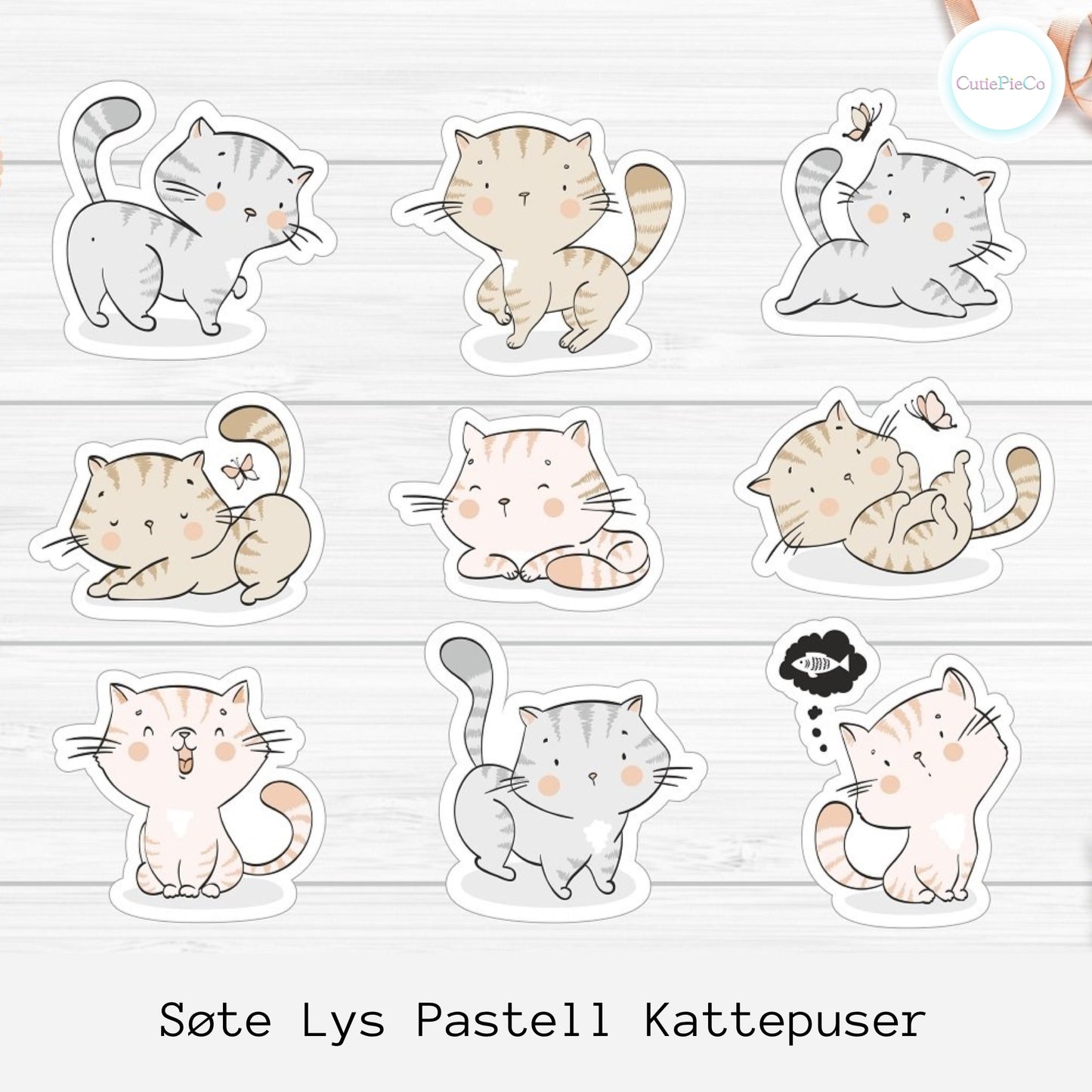 Søte pastell Kattepuser